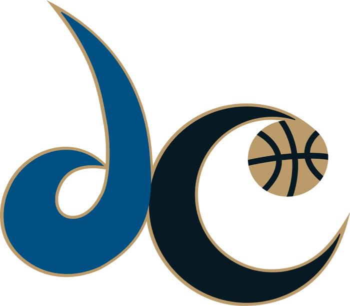 Washington Wizards 2007-2011 Alternate Logo fabric transfer version 2